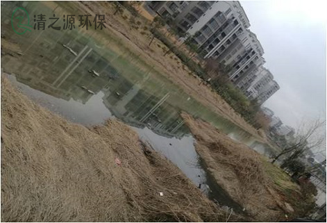 高濃度有機廢水的水質特點以及有哪些危害 高濃度有機廢水的水質特點以及有哪些危害