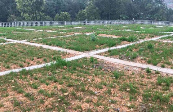 農(nóng)村環(huán)境綜合整治存在哪些問(wèn)題? 農(nóng)村環(huán)境綜合整治存在哪些問(wèn)題?