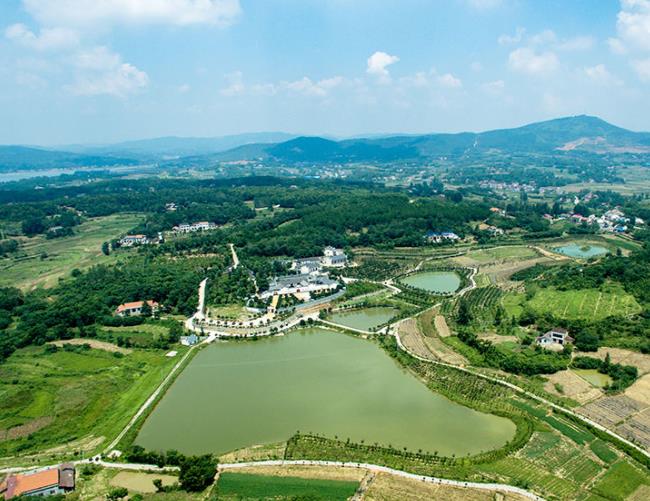 農村黑臭水體治理公司哪里的好？